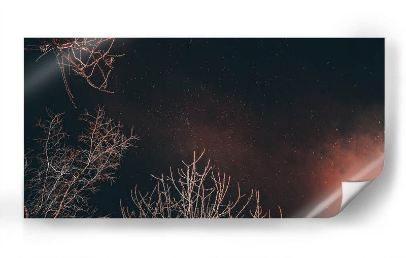 Noche estrellada - Jabin Adiel | Cuadro decorativo de Canvas Lab
