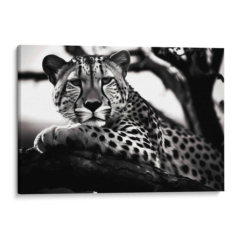 Cheetah - Pat G | Cuadro decorativo de Canvas Lab