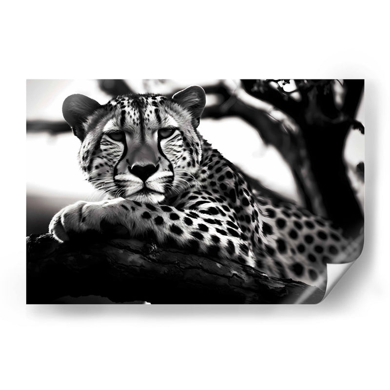 Cheetah - Pat G | Cuadro decorativo de Canvas Lab