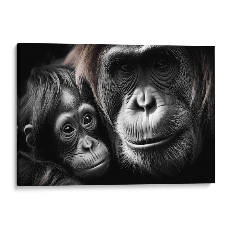 Orangutanes - Pat G | Cuadro decorativo de Canvas Lab