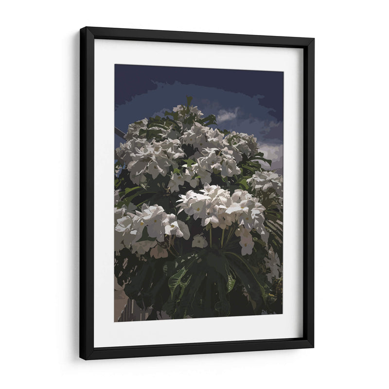 Ramo de flores blancas - Jabin Adiel | Cuadro decorativo de Canvas Lab