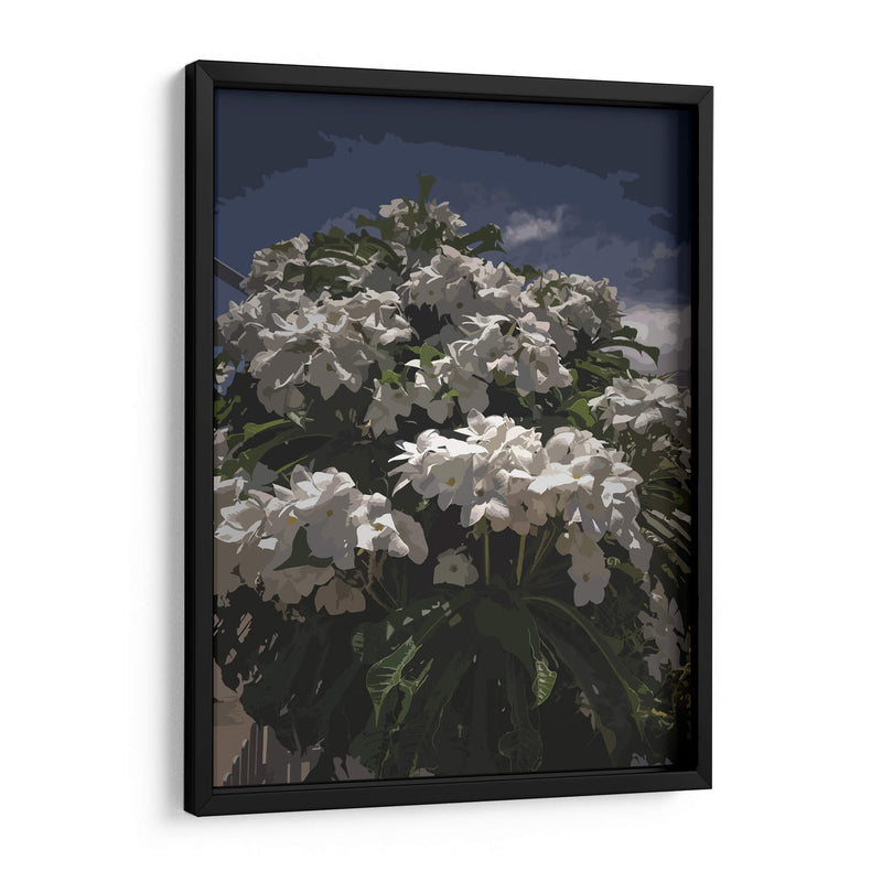 Ramo de flores blancas - Jabin Adiel | Cuadro decorativo de Canvas Lab