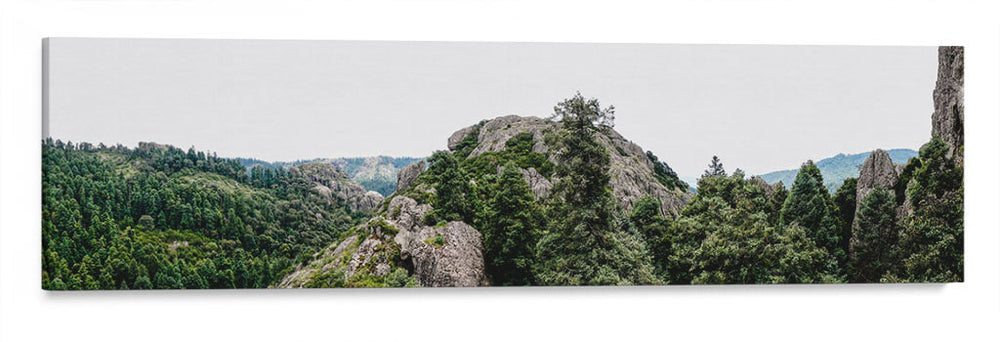Bosque escondido - Rev | Cuadro decorativo de Canvas Lab