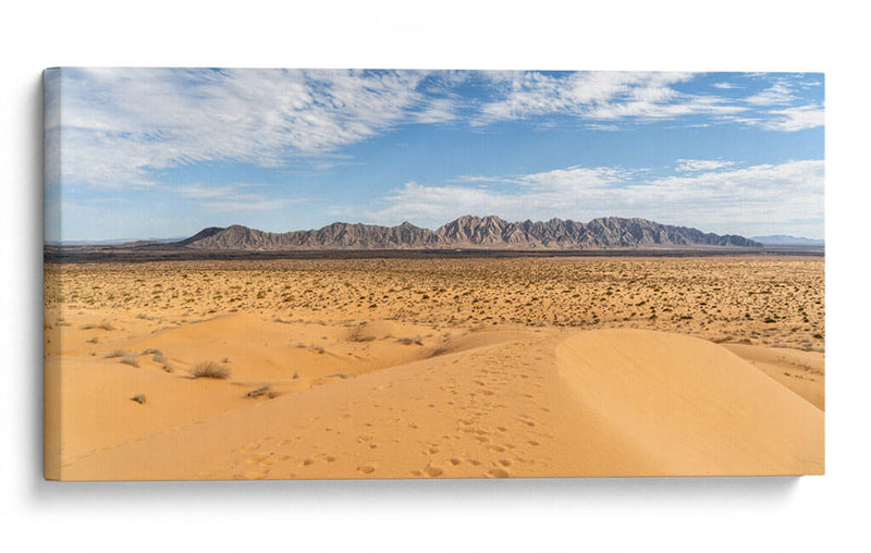 Desierto de Altar - Rev | Cuadro decorativo de Canvas Lab