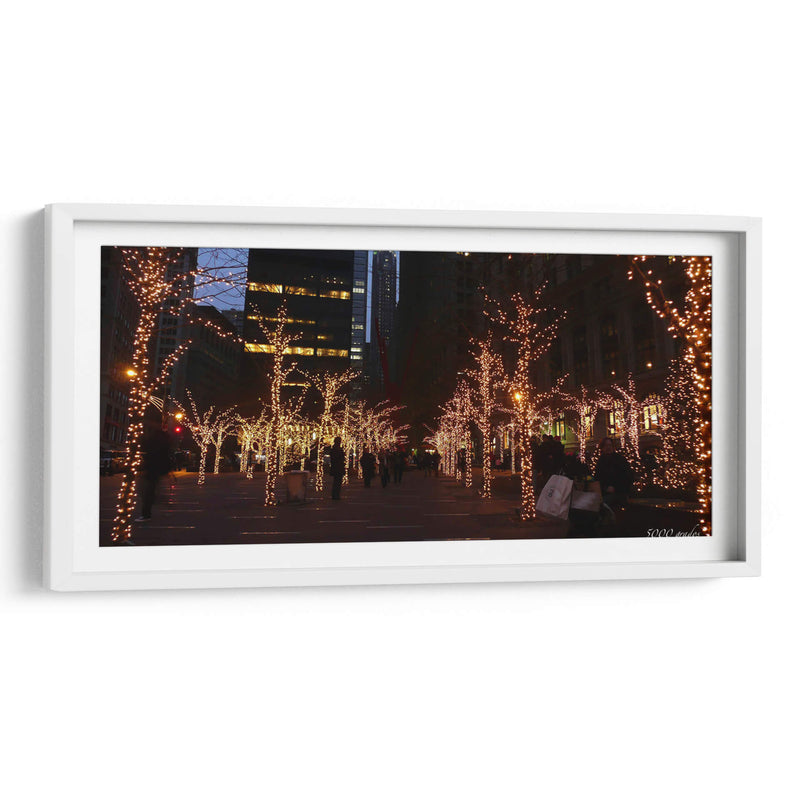 Árboles iluminados en navidad - 5000 grados | Cuadro decorativo de Canvas Lab