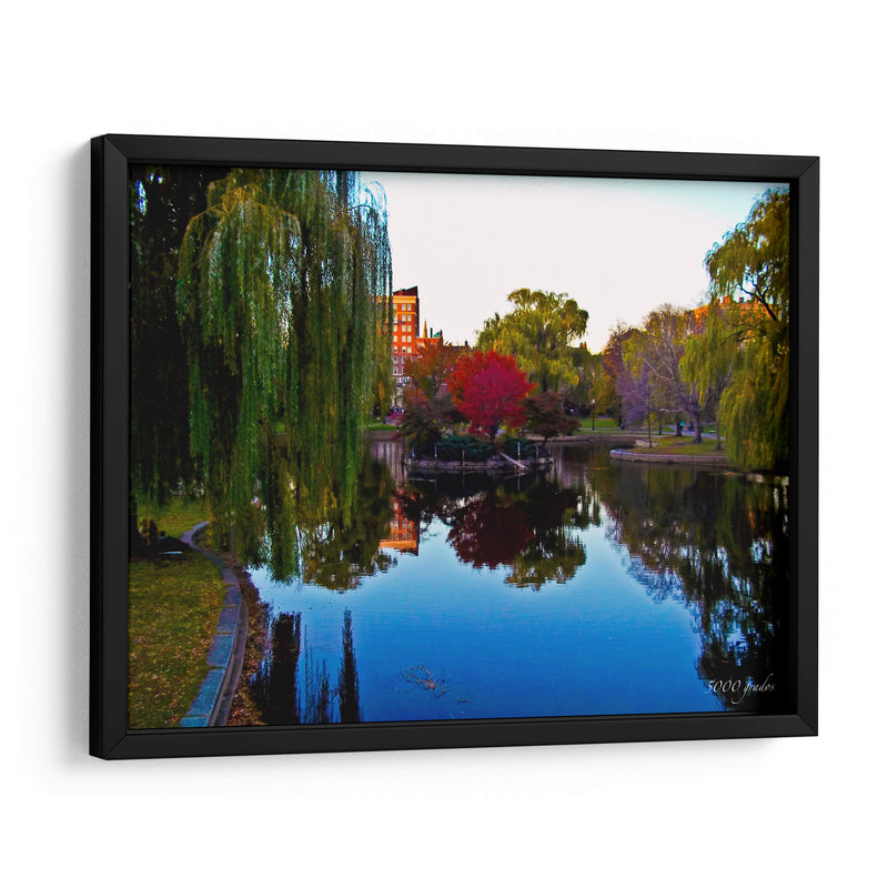 Reflejos en lago con arbol rojo, Boston - 5000 grados | Cuadro decorativo de Canvas Lab