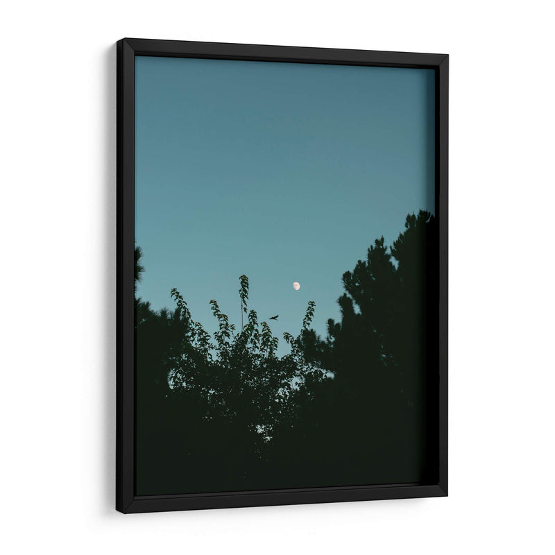 Ave volando y luna en gibosa creciente - Enrique Estrada | Cuadro decorativo de Canvas Lab