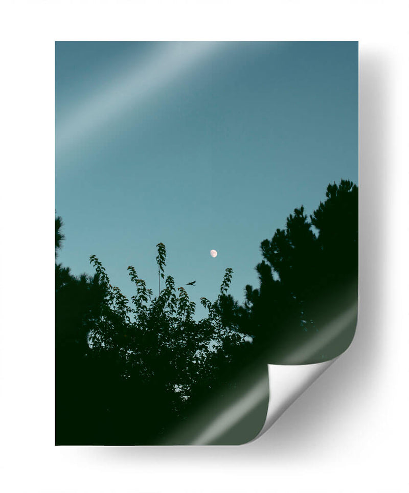 Ave volando y luna en gibosa creciente - Enrique Estrada | Cuadro decorativo de Canvas Lab