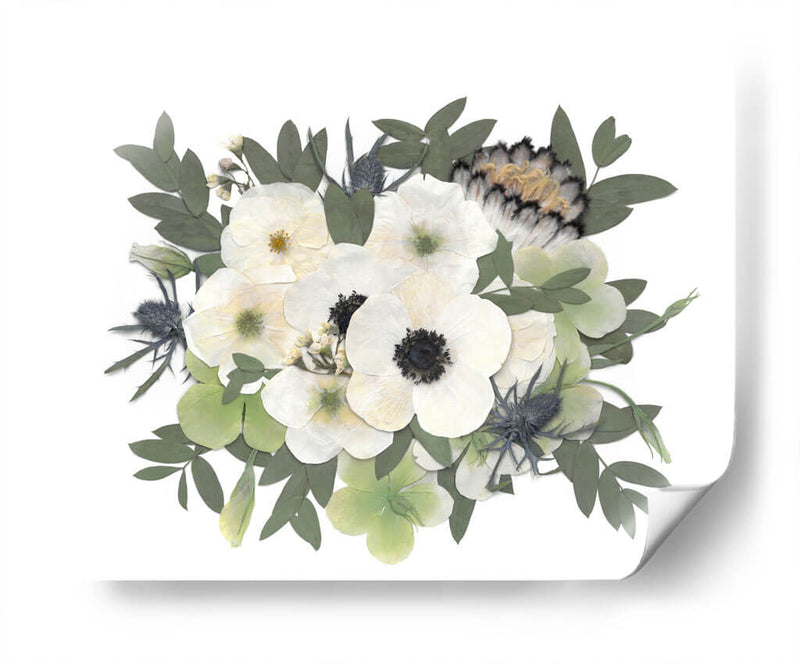 Snow White - Pressed Flowers - Designs by Andrea | Cuadro decorativo de Canvas Lab