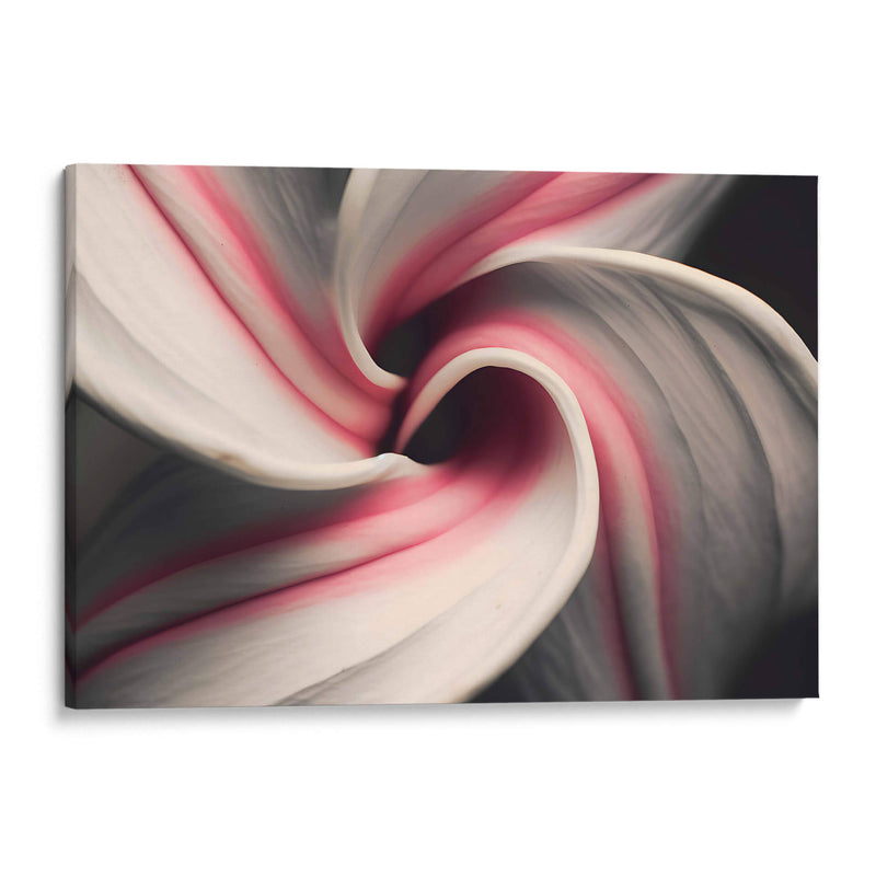 Espiral Rosa - Juliana Estrada | Cuadro decorativo de Canvas Lab