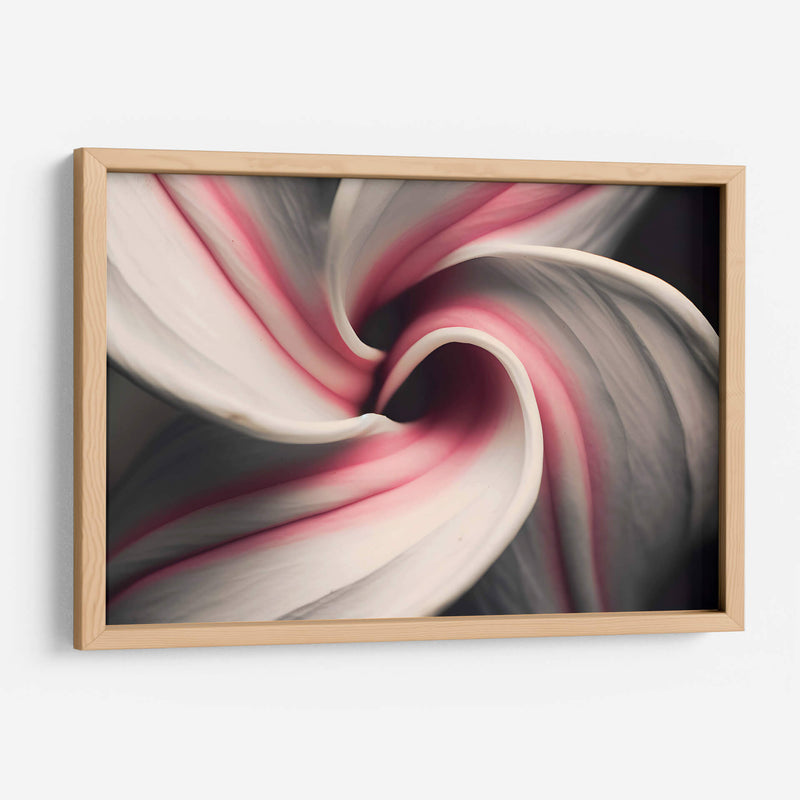 Espiral Rosa - Juliana Estrada | Cuadro decorativo de Canvas Lab