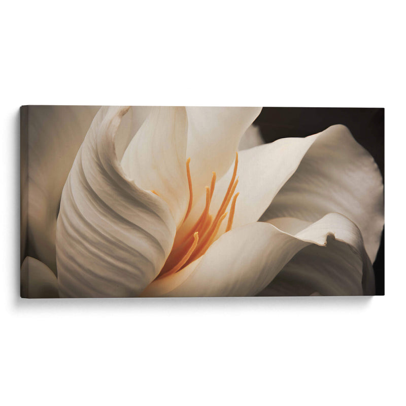 flor blanca y amarilla - Juliana Estrada | Cuadro decorativo de Canvas Lab