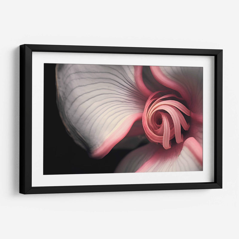 Curvas y espirales 2 - Juliana Estrada | Cuadro decorativo de Canvas Lab