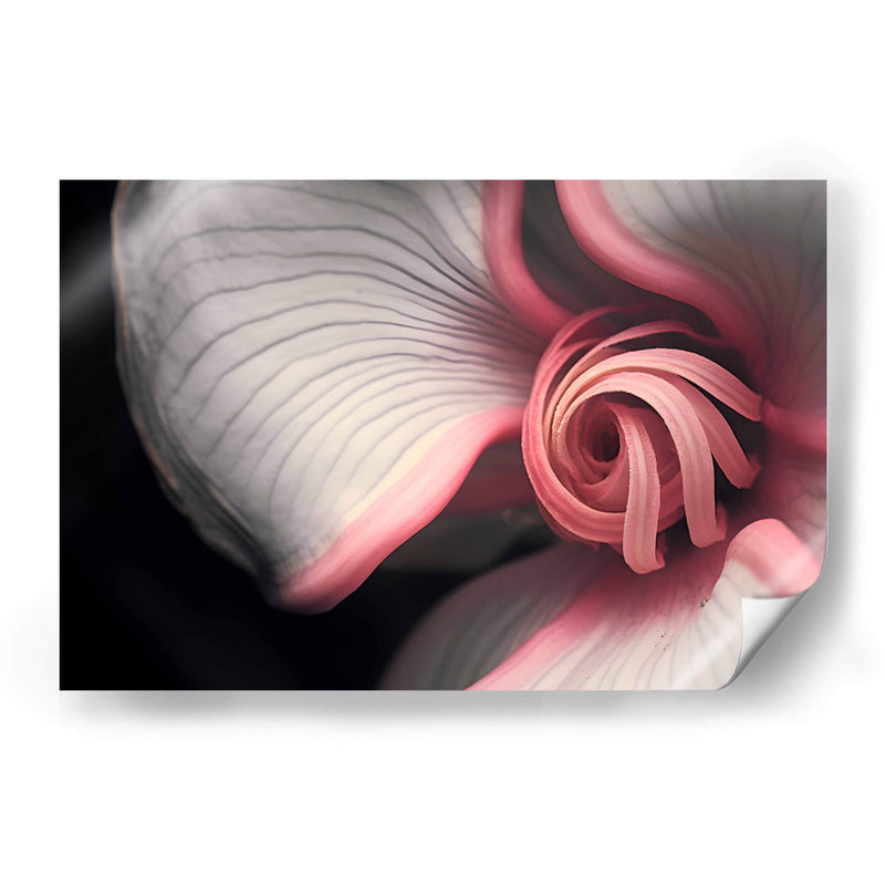 Curvas y espirales 2 - Juliana Estrada | Cuadro decorativo de Canvas Lab