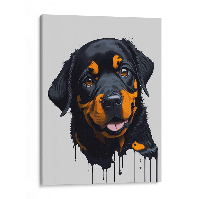 Rottweiler Splash - Infiniity Art | Cuadro decorativo de Canvas Lab