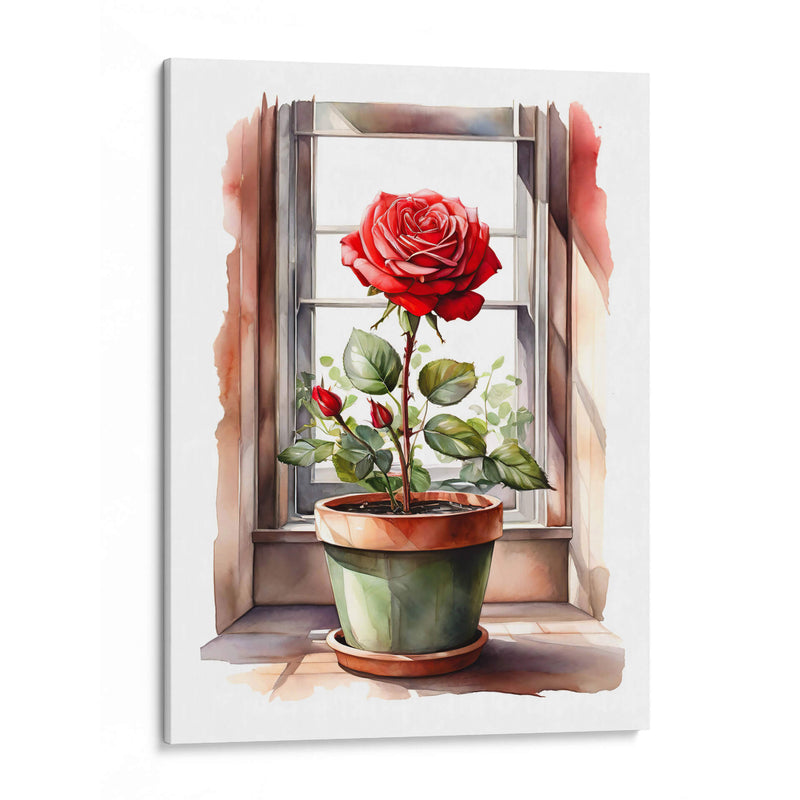 Rosa en la Ventana - Infiniity Art | Cuadro decorativo de Canvas Lab