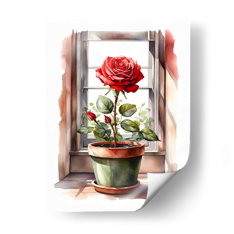 Rosa en la Ventana - Infiniity Art | Cuadro decorativo de Canvas Lab