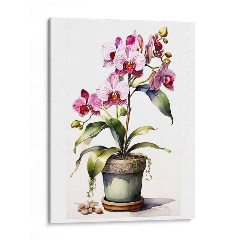 Hermosa Orquídea - Infiniity Art | Cuadro decorativo de Canvas Lab