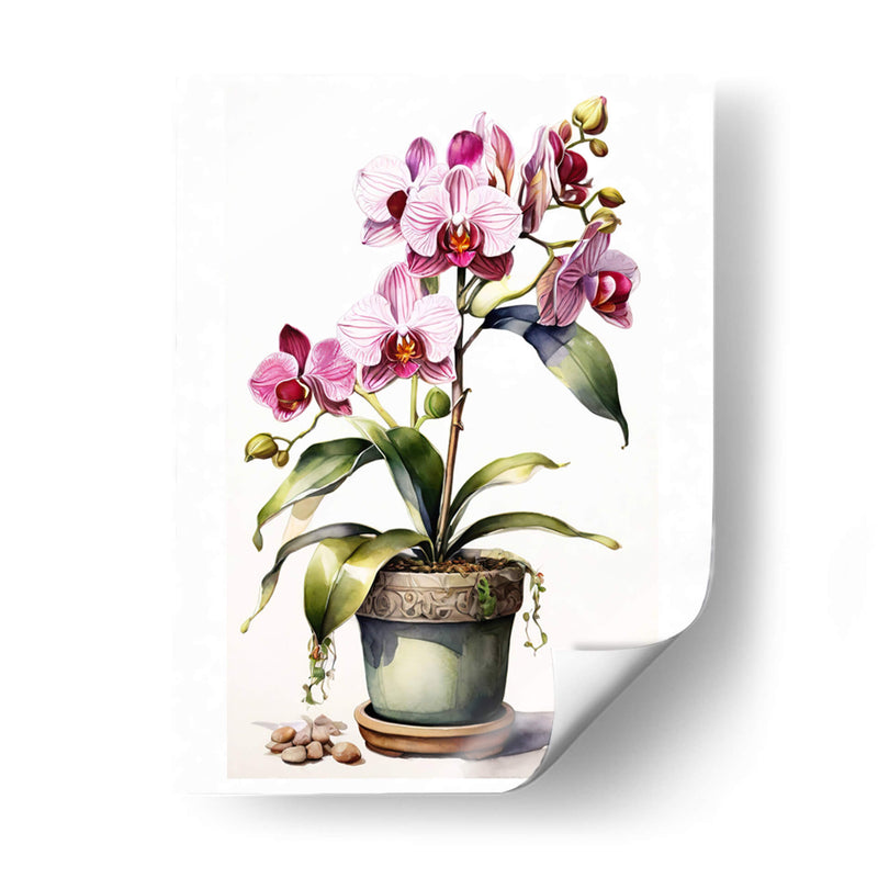 Hermosa Orquídea - Infiniity Art | Cuadro decorativo de Canvas Lab