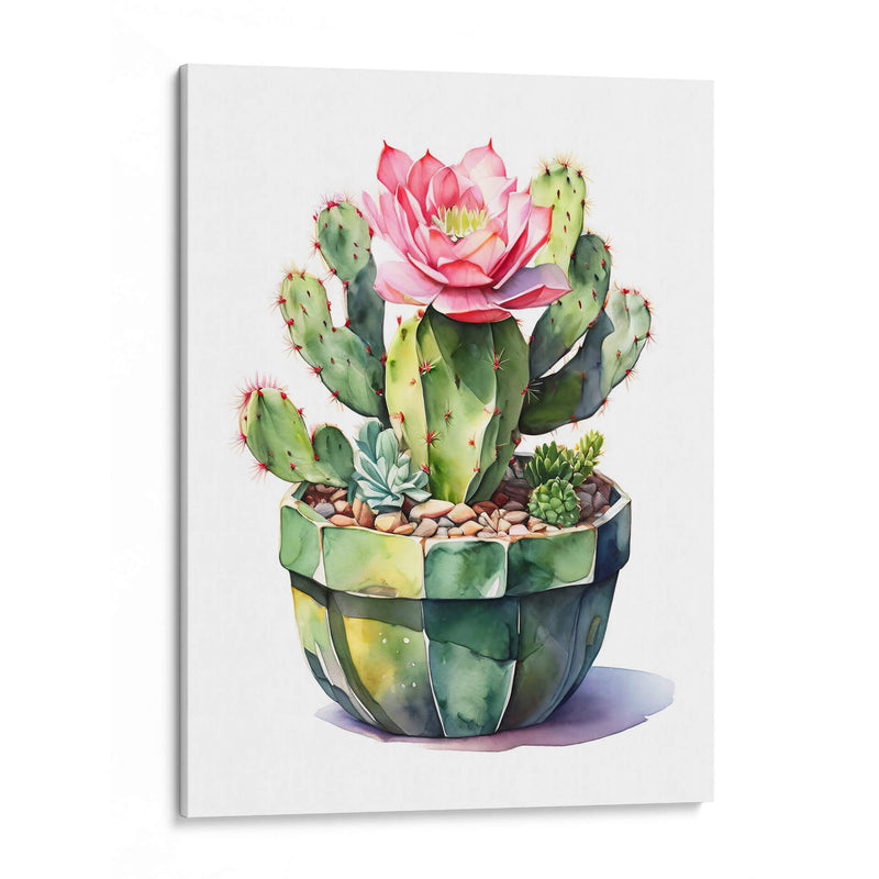 Cactus - Infiniity Art | Cuadro decorativo de Canvas Lab