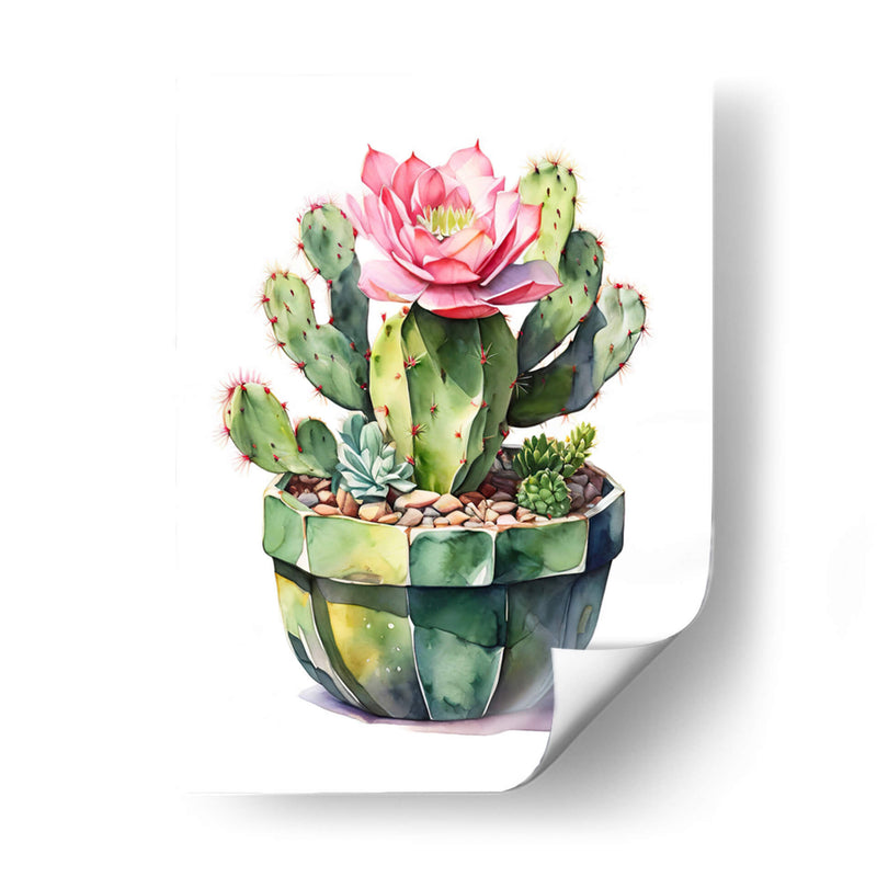 Cactus - Infiniity Art | Cuadro decorativo de Canvas Lab