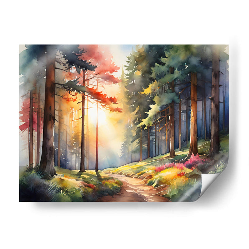 Atardecer en el bosque - Infiniity Art | Cuadro decorativo de Canvas Lab