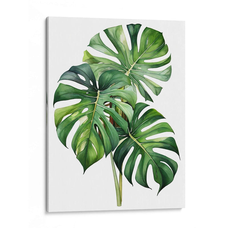 Monstera - Infiniity Art | Cuadro decorativo de Canvas Lab