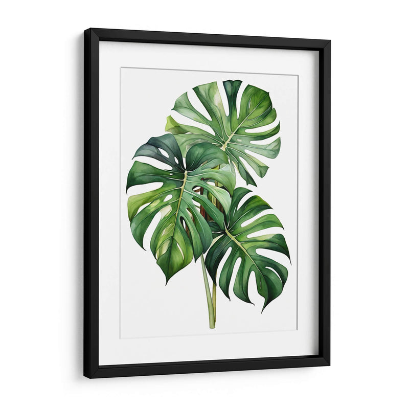 Monstera - Infiniity Art | Cuadro decorativo de Canvas Lab