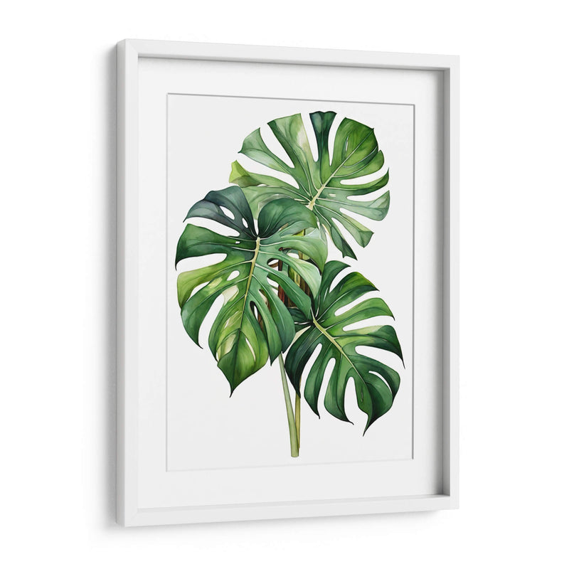 Monstera - Infiniity Art | Cuadro decorativo de Canvas Lab