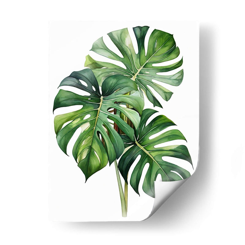 Monstera - Infiniity Art | Cuadro decorativo de Canvas Lab