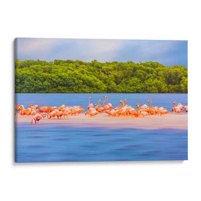 Flamingos - Guillermo Aparicio | Cuadro decorativo de Canvas Lab