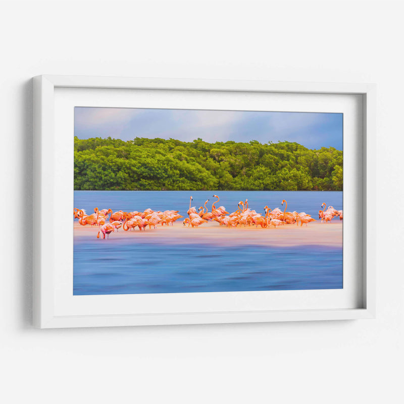 Flamingos - Guillermo Aparicio | Cuadro decorativo de Canvas Lab