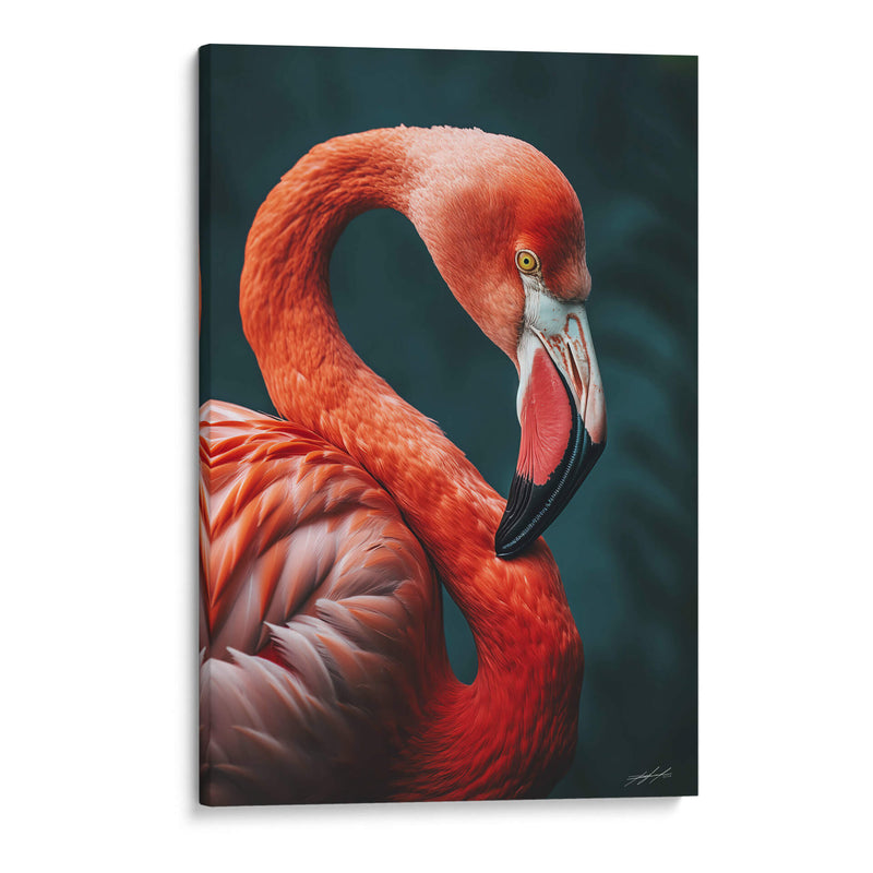 Belleza Animal - Flamenco - DeLaVegaGaming | Cuadro decorativo de Canvas Lab