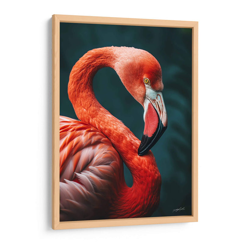 Belleza Animal - Flamenco - DeLaVegaGaming | Cuadro decorativo de Canvas Lab
