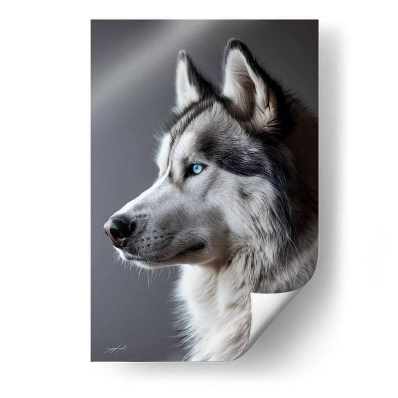 Belleza Animal - Husky - DeLaVegaGaming | Cuadro decorativo de Canvas Lab