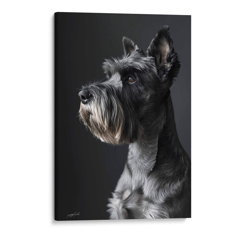 Belleza Animal - Schnauzer - DeLaVegaGaming | Cuadro decorativo de Canvas Lab