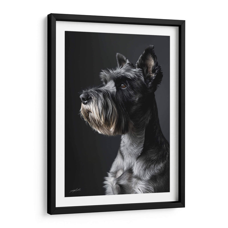 Belleza Animal - Schnauzer - DeLaVegaGaming | Cuadro decorativo de Canvas Lab