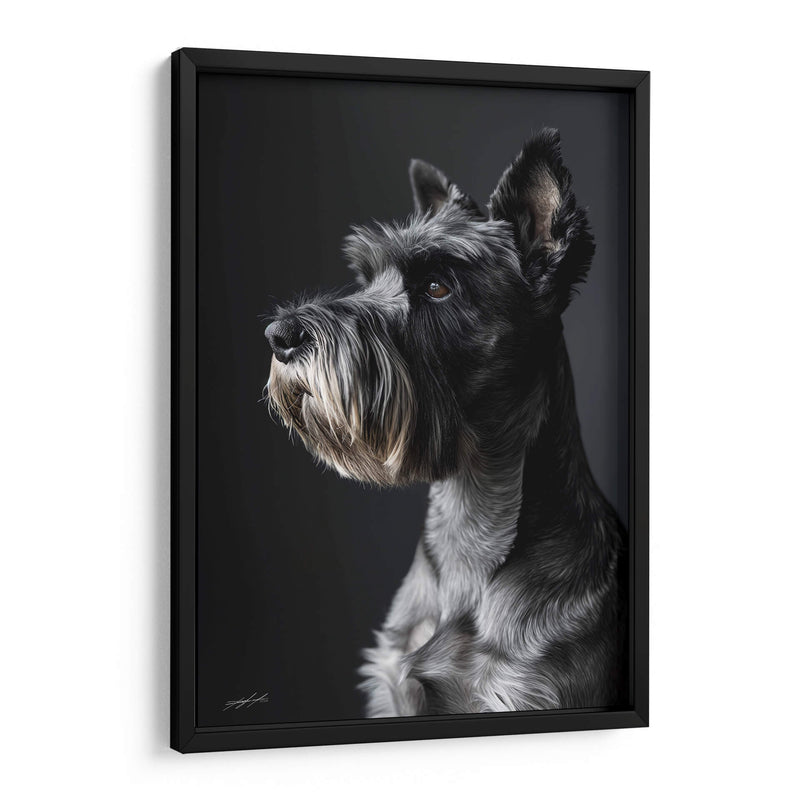 Belleza Animal - Schnauzer - DeLaVegaGaming | Cuadro decorativo de Canvas Lab