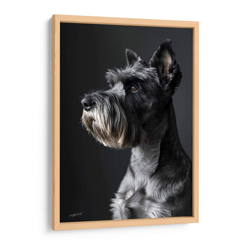 Belleza Animal - Schnauzer - DeLaVegaGaming | Cuadro decorativo de Canvas Lab