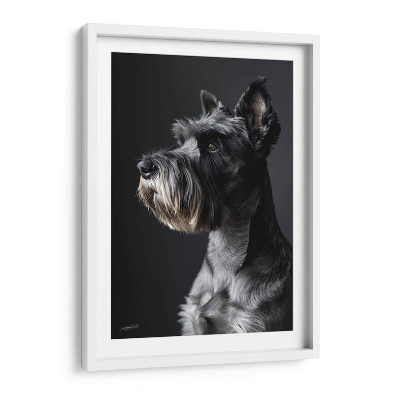 Belleza Animal - Schnauzer - DeLaVegaGaming | Cuadro decorativo de Canvas Lab