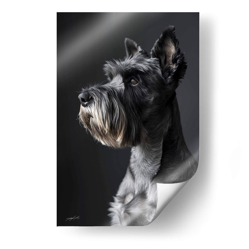 Belleza Animal - Schnauzer - DeLaVegaGaming | Cuadro decorativo de Canvas Lab