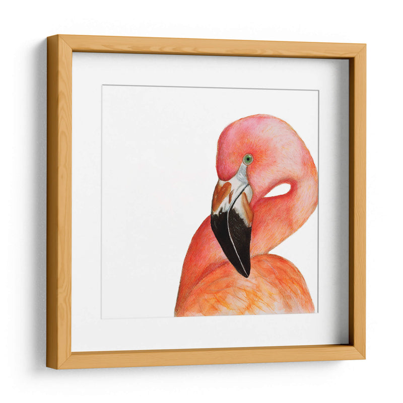 Flamingo - Patty Riju | Cuadro decorativo de Canvas Lab