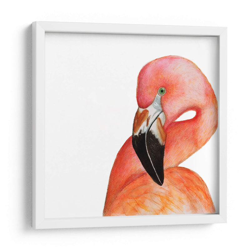 Flamingo - Patty Riju | Cuadro decorativo de Canvas Lab