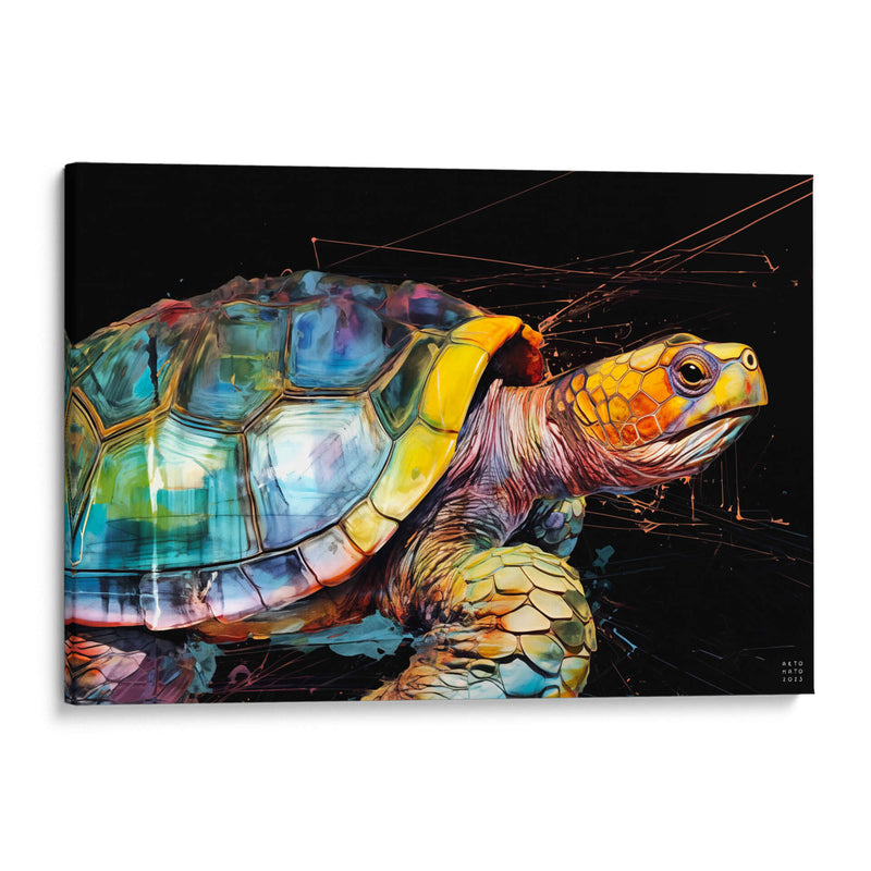 Tortuga terrestre - Artomato | Cuadro decorativo de Canvas Lab