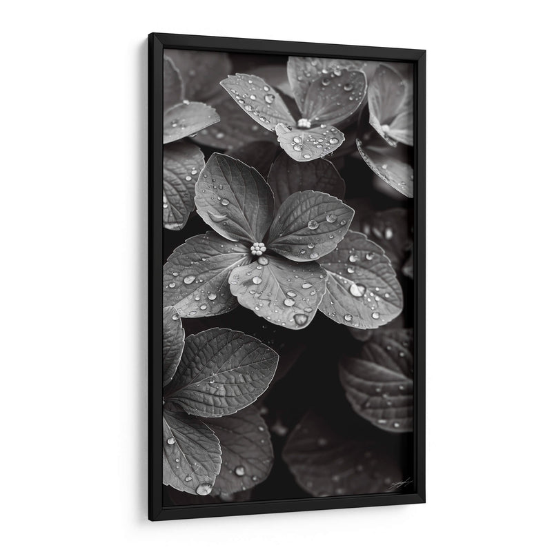 Hydrangea Blanco y Negro - DeLaVegaGaming | Cuadro decorativo de Canvas Lab