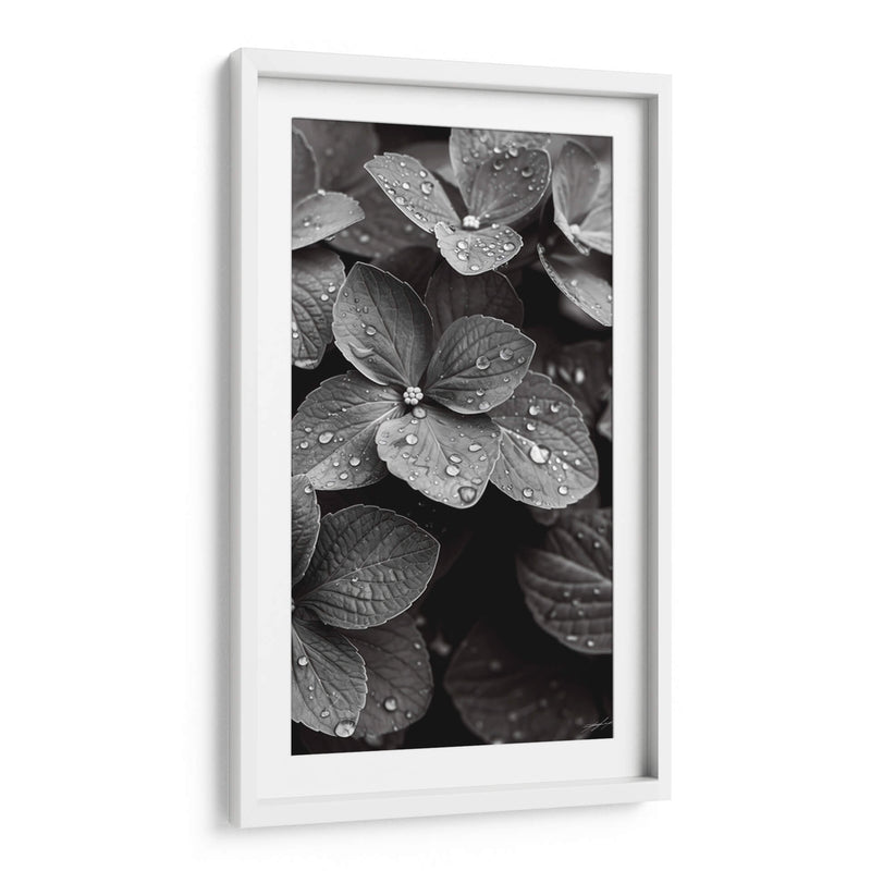 Hydrangea Blanco y Negro - DeLaVegaGaming | Cuadro decorativo de Canvas Lab