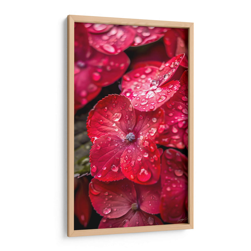 Hydrangea Roja - DeLaVegaGaming | Cuadro decorativo de Canvas Lab