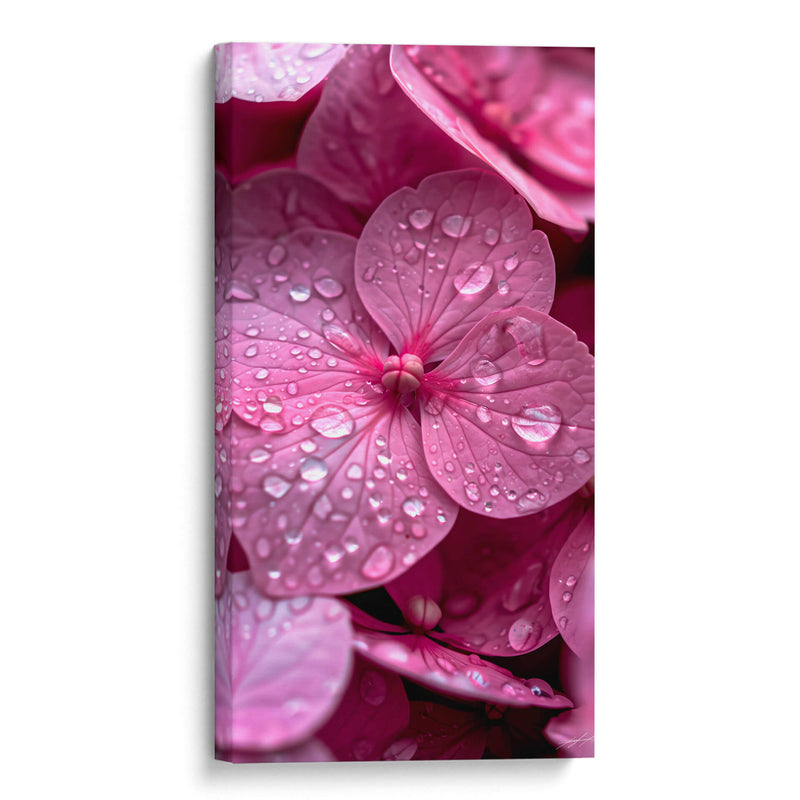 Hydrangea Rosa - DeLaVegaGaming | Cuadro decorativo de Canvas Lab