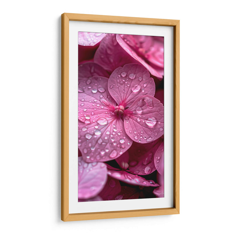 Hydrangea Rosa - DeLaVegaGaming | Cuadro decorativo de Canvas Lab