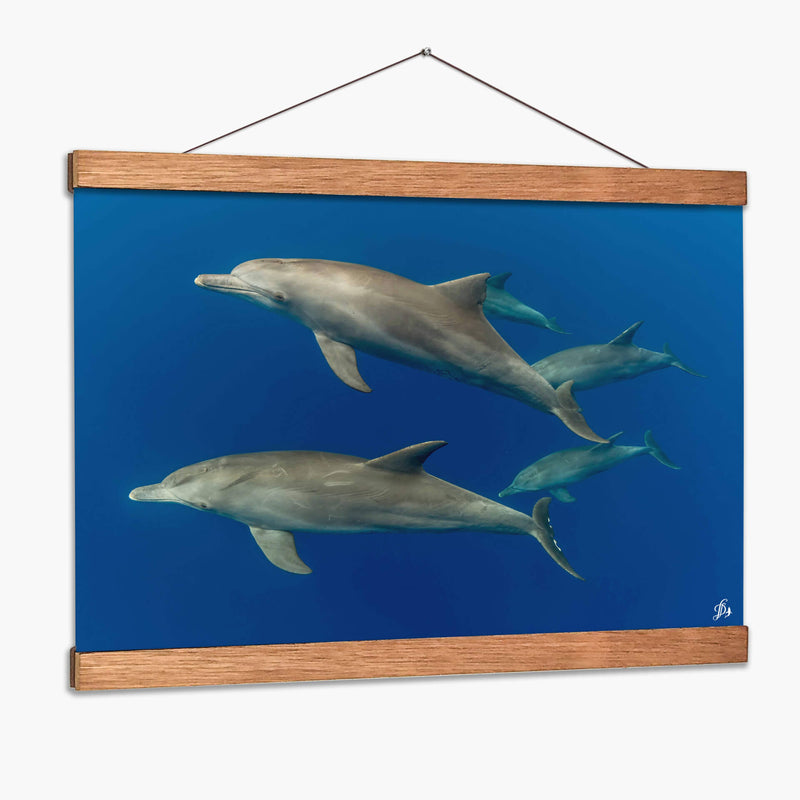 Familia de delfines nariz de botella - Dominic Underwater | Cuadro decorativo de Canvas Lab